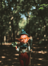 Edward - leprechaun